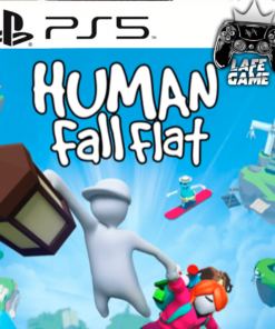 HUMAN: FALL FLAT