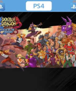 DOUBLE DRAGON GAIDEN RISE OF THE DRAGONS