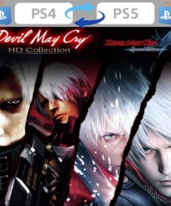 DEVIL MAY CRY HD COLLECTION & 4SE BUNDLE
