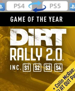 DIRT RALLY 2.0 - GAME OF THE YEAR EDITION