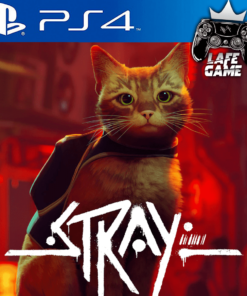 STRAY