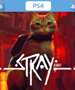 STRAY