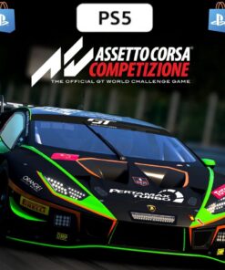 ASSETTO CORSA COMPETIZIONE