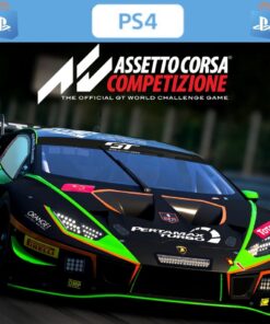 ASSETTO CORSA COMPETIZIONE