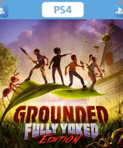 GROUNDED