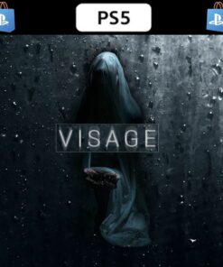 VISAGE