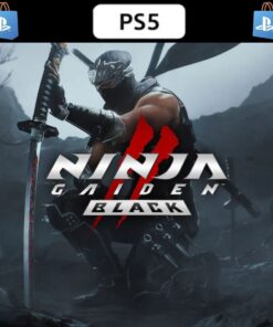NINJA GAIDEN 2
