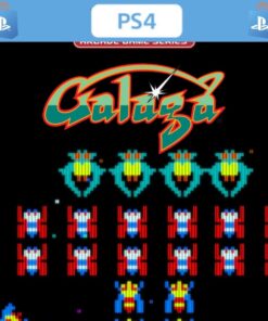ARCADE GAME SERIES: GALAGA