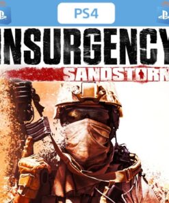 INSURGENCY