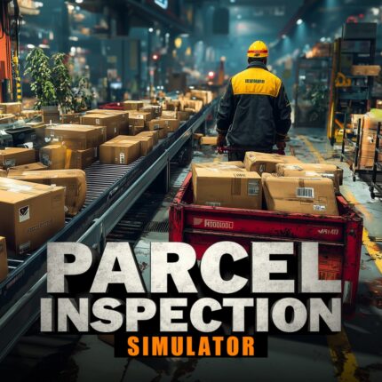 PARCEL INSPECTION SIMULATOR