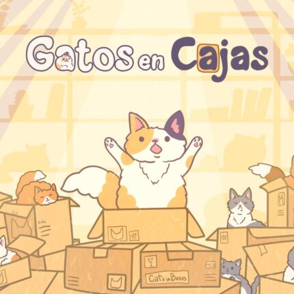 Cats in Boxes