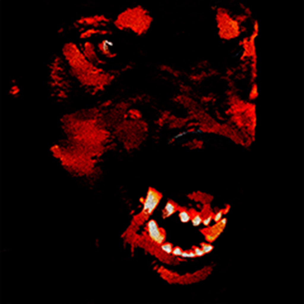 Canine