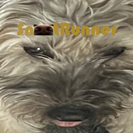 Snoot Runner