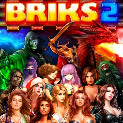 BRIKS 2